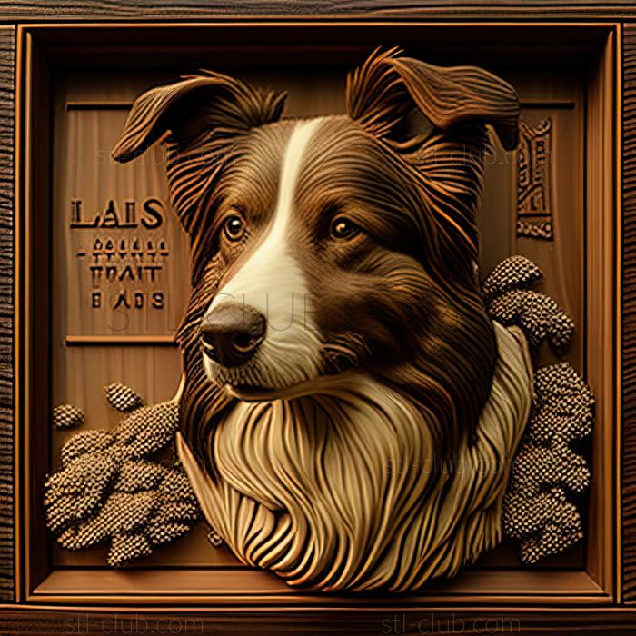 Lassie Lassie Comes Home Pel the Dog